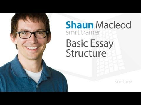 how to write an executive summary for an essay